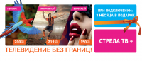 Стрела ТВ+