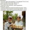 Мороженое