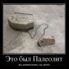Развлекались как могли Развлекались как могли