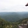 IMG 0750