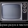Держи разум в чистоте