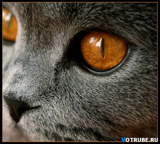 спокойствие