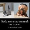 В хозяйстве-нужнее