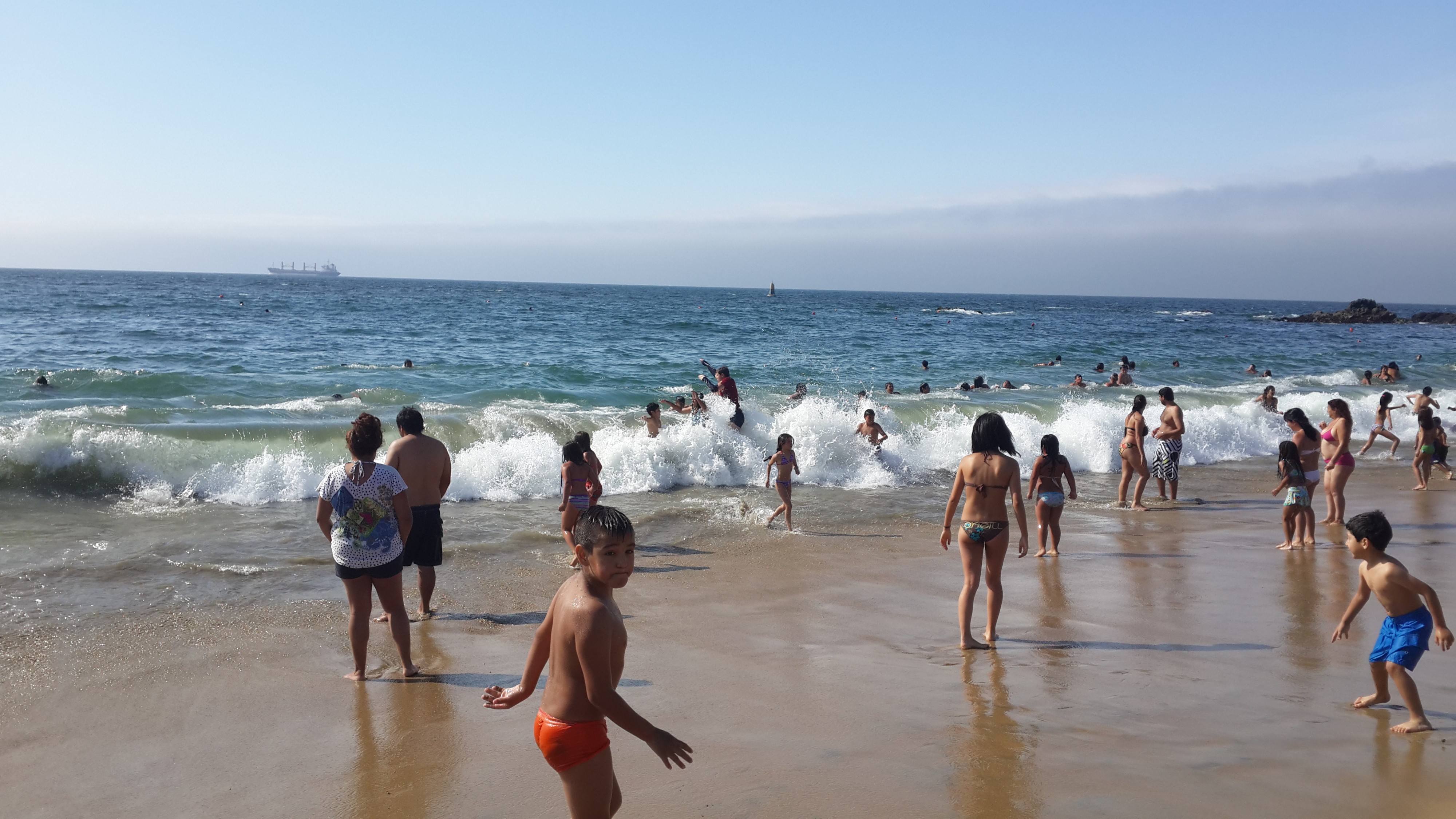 чилийские отморозки