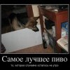 Самое лучшее пиво Самое лучшее пиво