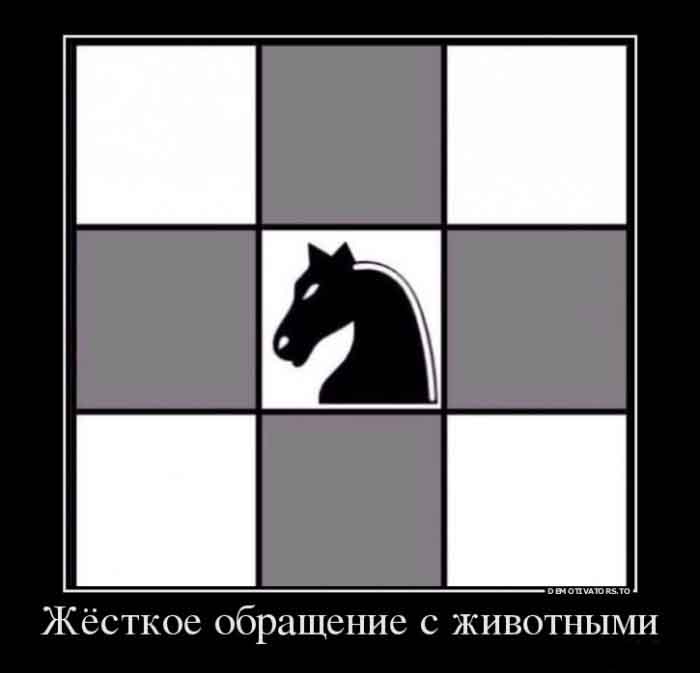 Обращение с животными