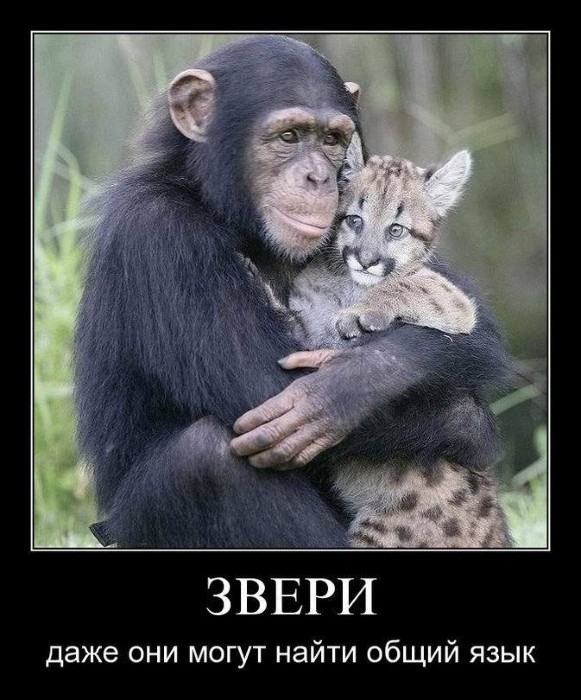 Общий язык