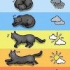 Определяем погоду по коту