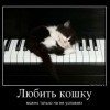 Котэ Котэ