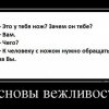 Основы вежливости Основы вежливости
