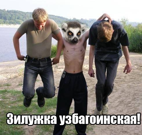 зилужка узбагойзкая)))))