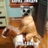 йа на гоне))))) йа на гоне)))))