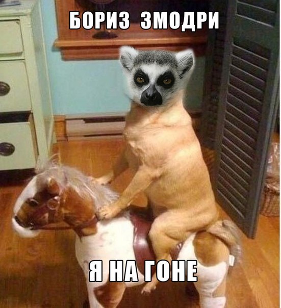 йа на гоне)))))