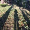 Тени подкарауливают Сирёгу Тени подкарауливают Сирёгу