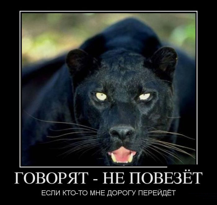 Говорят-не повезёт