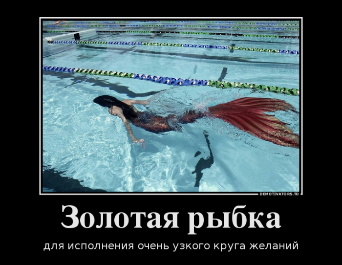 Золотая рыбка