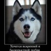 Искренно и бескорыстно Искренно и бескорыстно