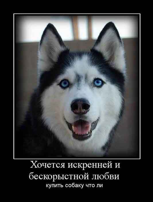 Искренно и бескорыстно