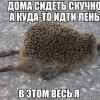 Скучно и лень