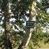 Реклама напротив пивнушки