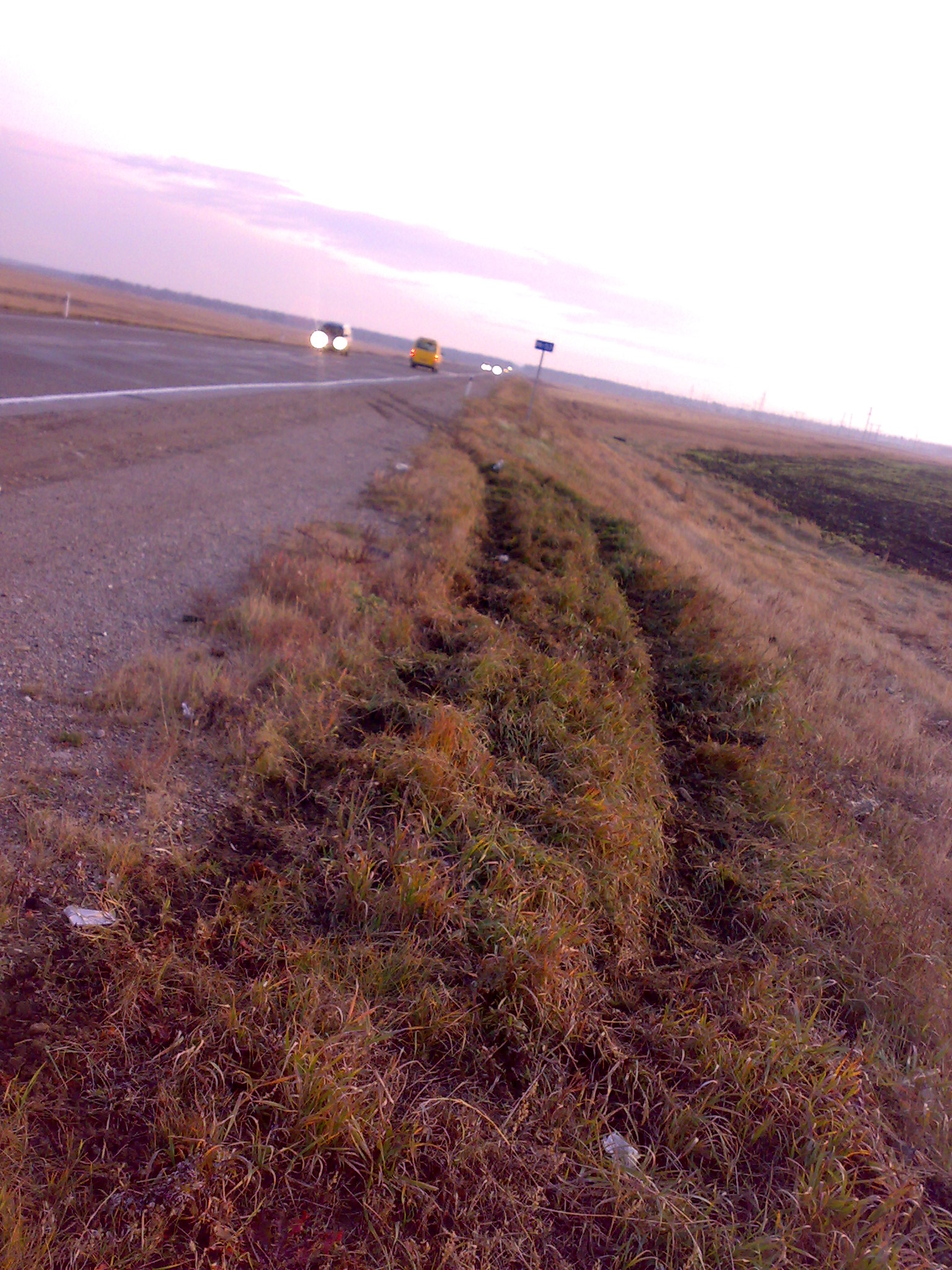 Следы от Жиги.