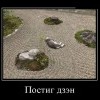 Постиг дзэн