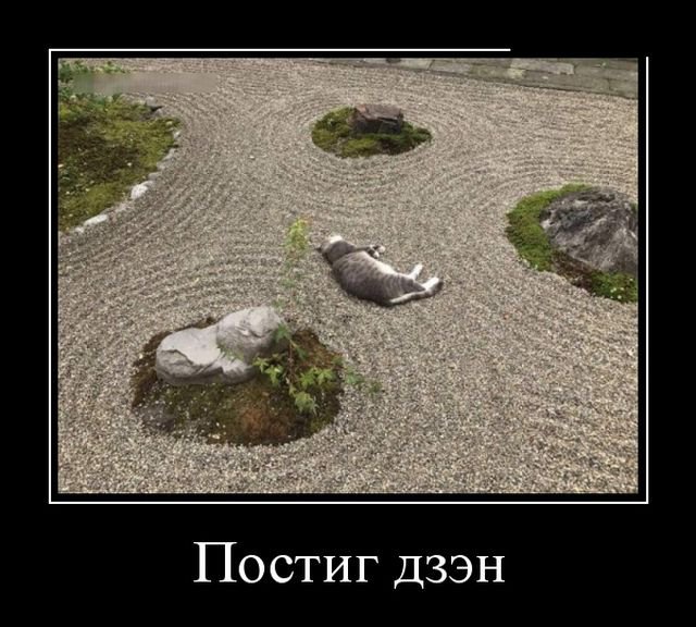 Постиг дзэн