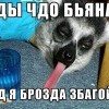 йа проздо збагойна))))))