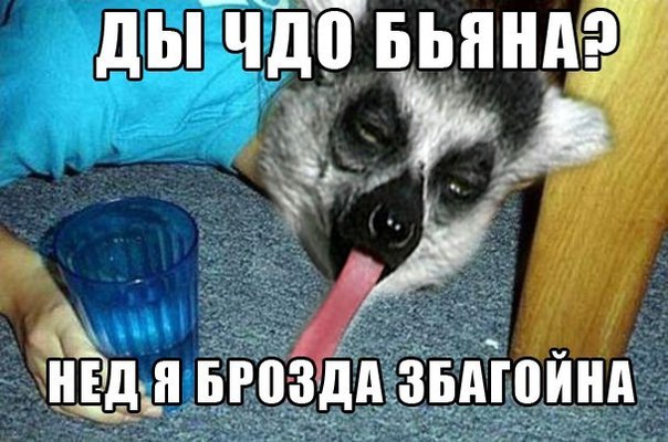 йа проздо збагойна))))))