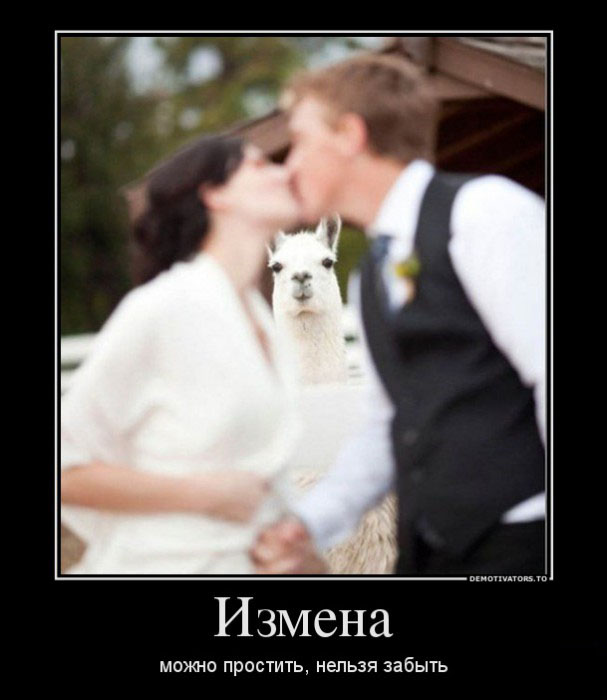 Измена
