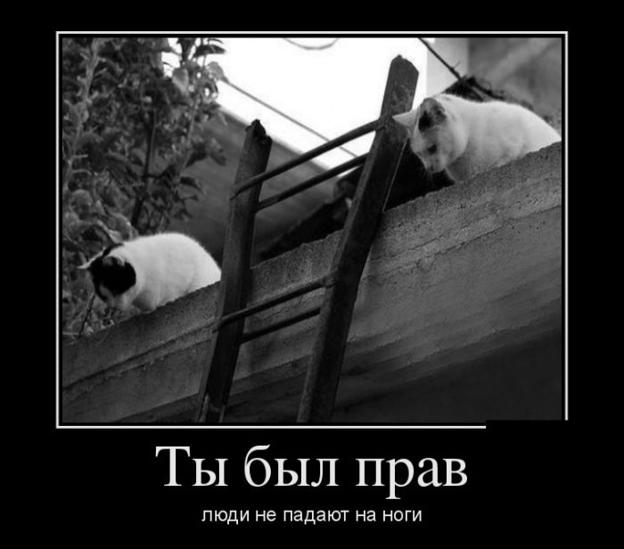 Люди не падают на ноги