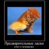 Предварительные ласки