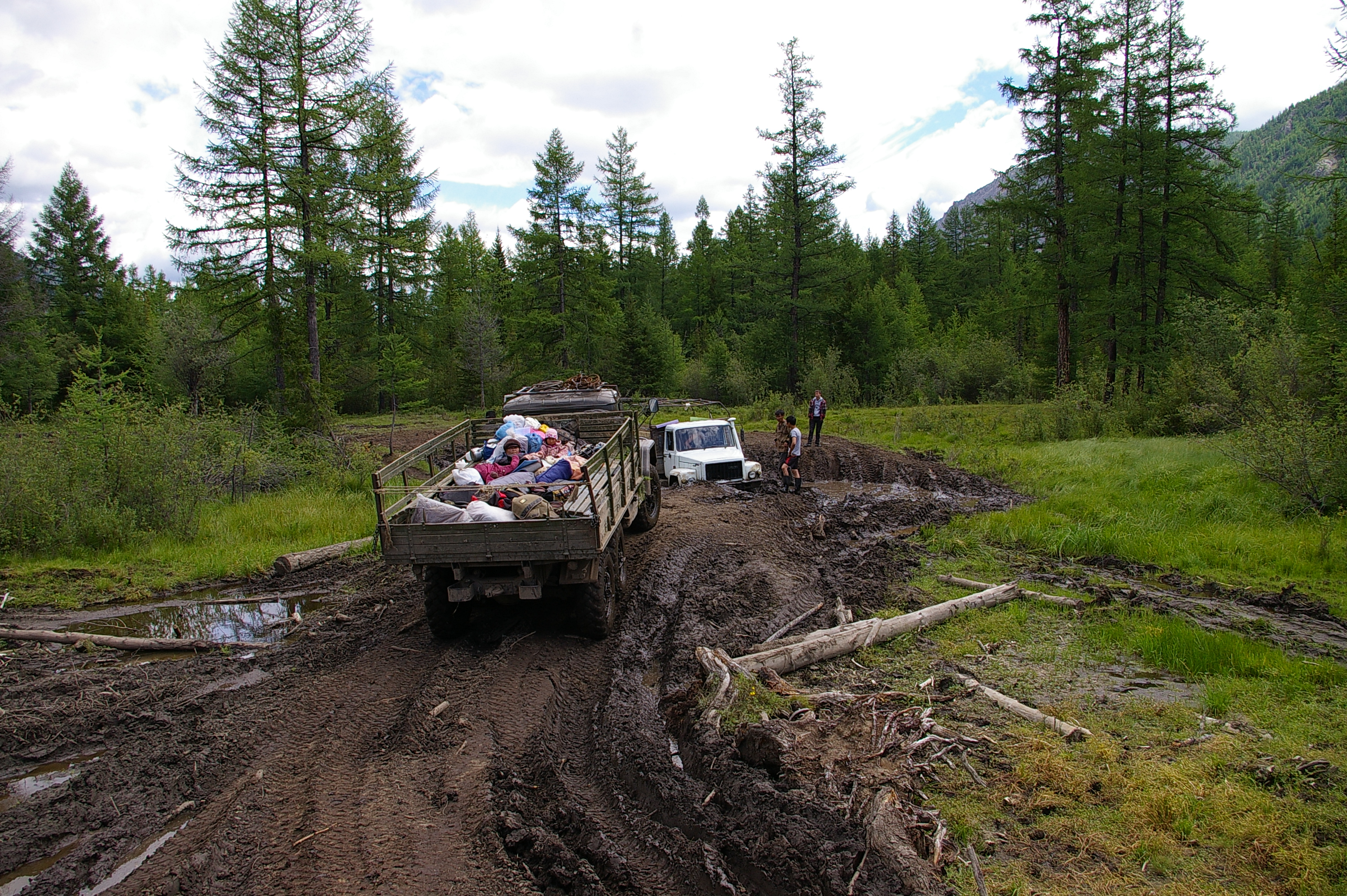 а олени лучше!