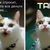 ..работает)))