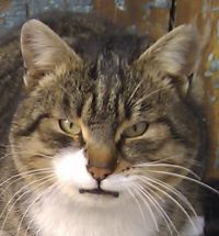 Пришлый!!!!! Пришлый!!!!!