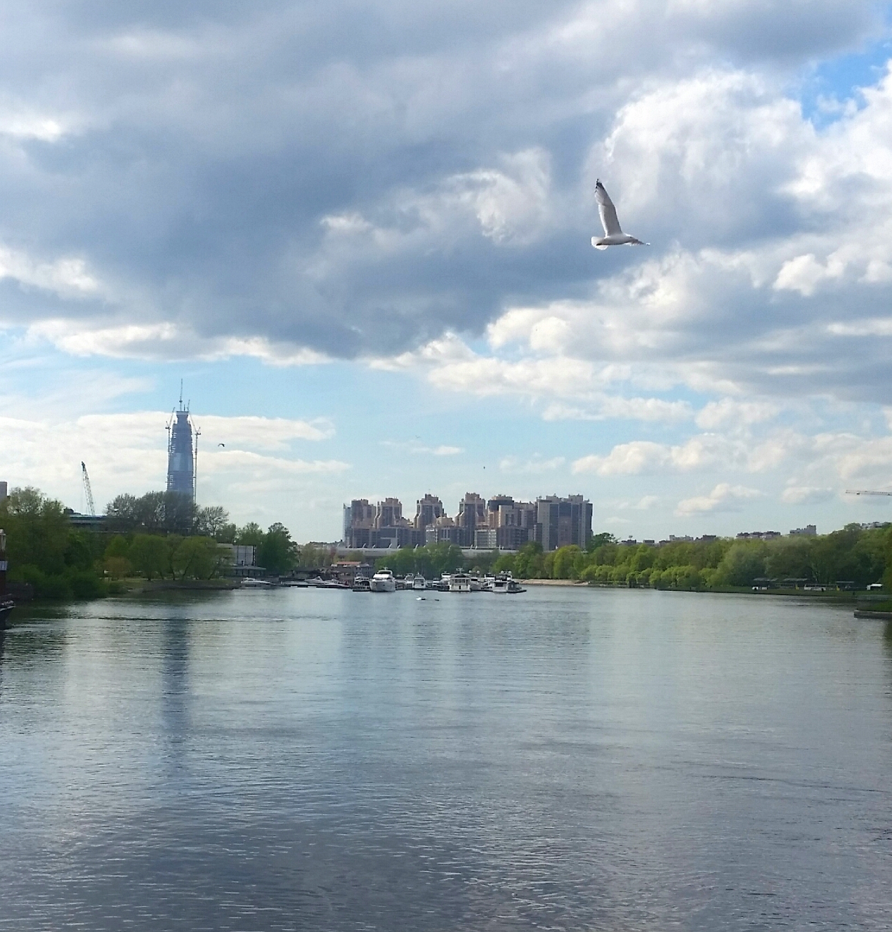 очередные облака))))))