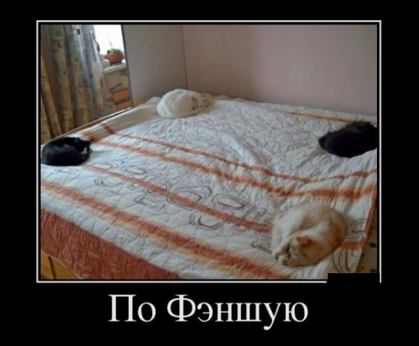 Фэншуй