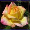0 18b86 90202b8 XL 0 18b86 90202b8 XL