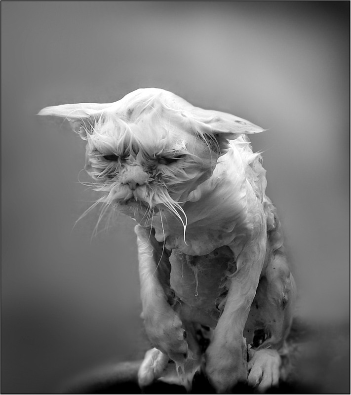 Не люблю я мыться...