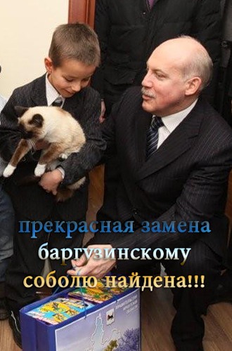 Прекрасная замена баргузинскому соболю найдена!!! 