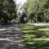 IMG 4401 IMG 4401