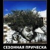 Сезонная прическа Сезонная прическа