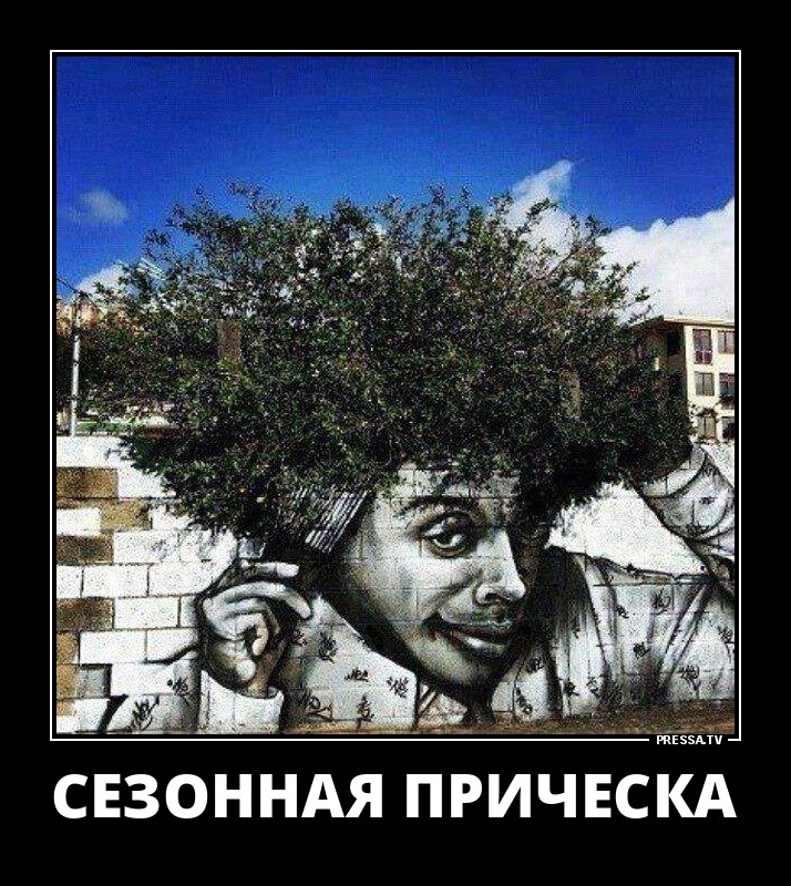 Сезонная прическа