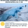 Во всем виновата белка