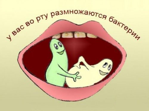 Бактрерии размножаются