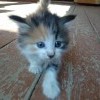 DSC 0003