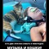 Забыть о неввзгодах Забыть о неввзгодах