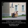 Алкоголь-это анестезия Алкоголь-это анестезия