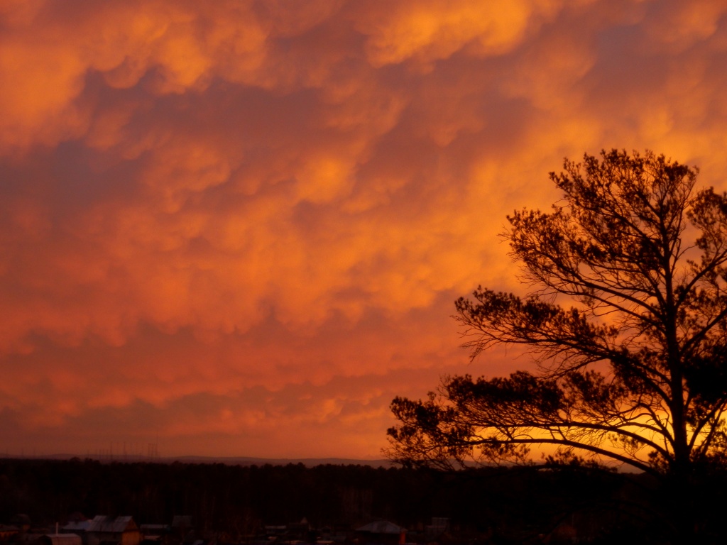 ХМУРАЯ НЕБЕСНАЯ КАНЦИЛЯРИЯ