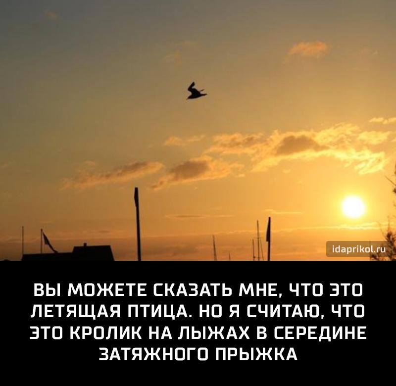 Птица или Кролик